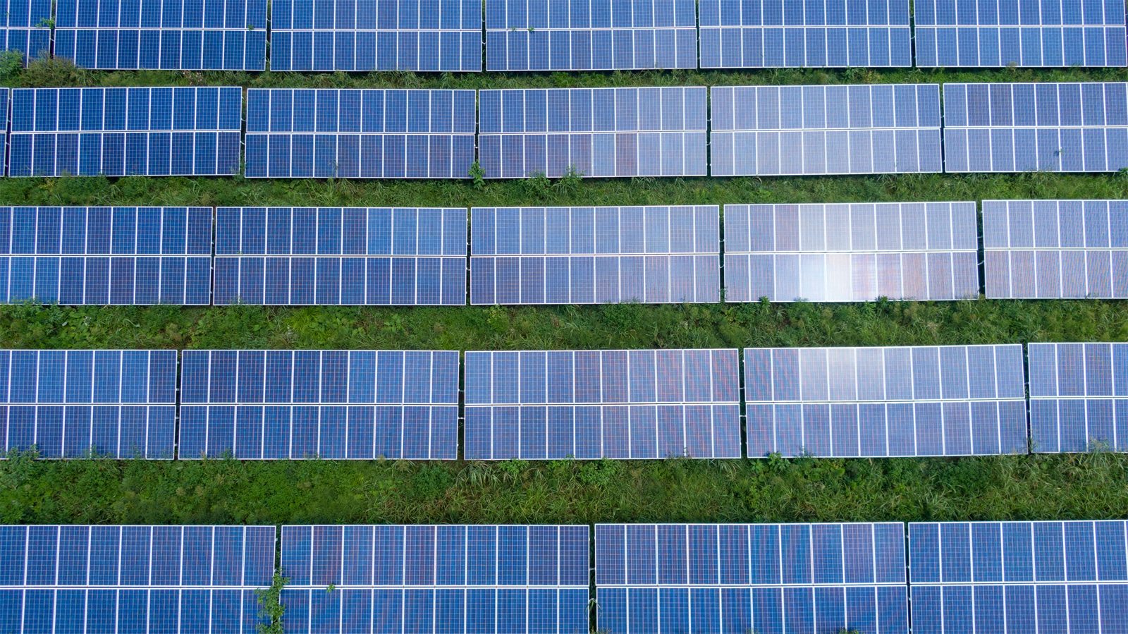Aerial view of rows of solar panels in a green field