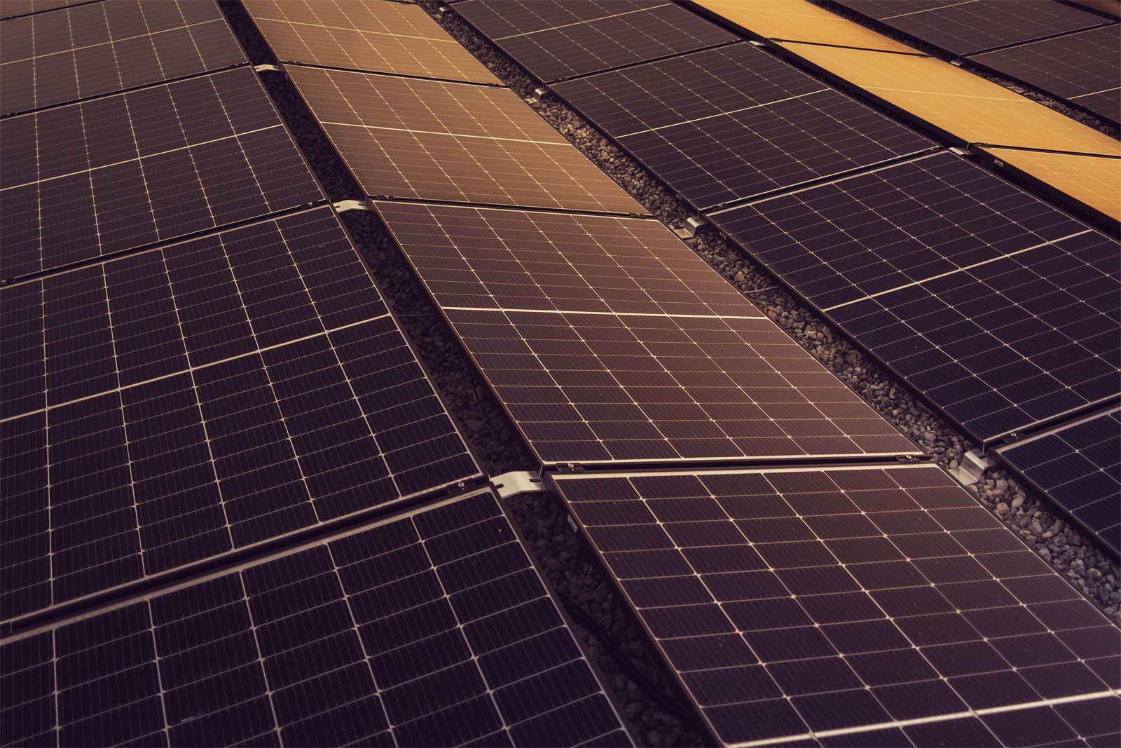 Solar panels on a flat rooftop in warm evening light